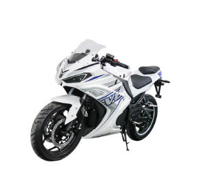 Electric Racing Motorcycle Selection Guide Vet du?