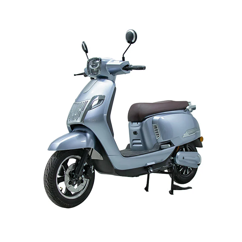 Elektrisk motorsykkel for voksne 10 tommer 800W motorsykkel